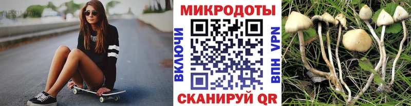 Псилоцибиновые грибы прущие грибы  omg ONION  Мамадыш  даркнет сайт 