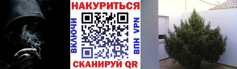 Шишки марихуана марихуана  Мамадыш 